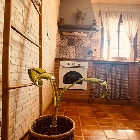 Casa Octavio